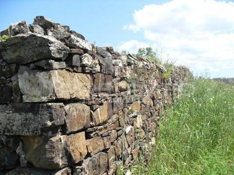 S. bartolomeu messines. terreno misto com habitação em ruínas