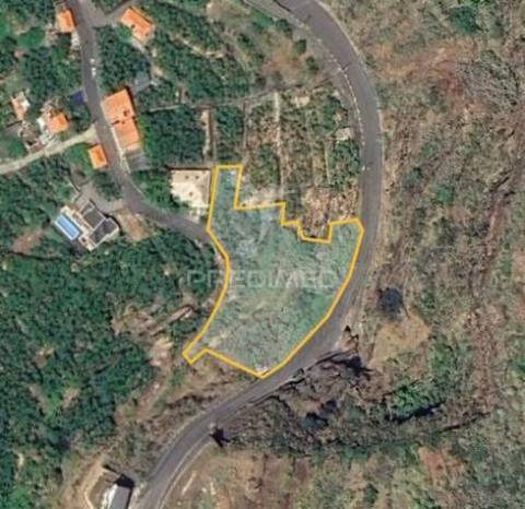 Terreno para investimento na calheta - ilha da madeira