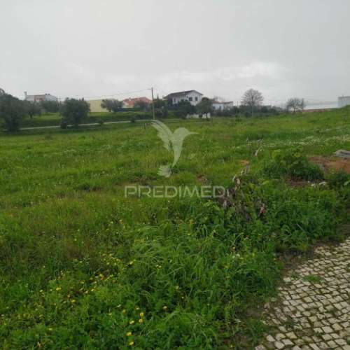 Terreno urbano com 443m2 em santarém