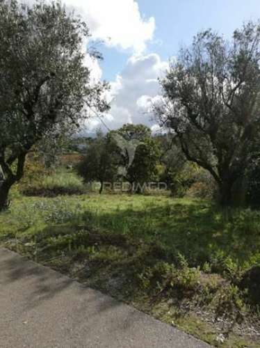 Terreno com 2110 m2 monte de bera- coimbra