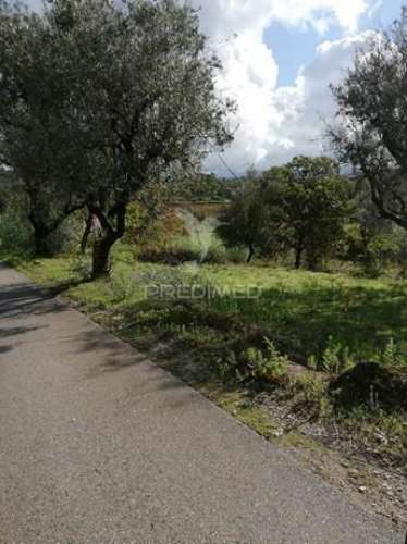 Terreno com 2110 m2 monte de bera- coimbra
