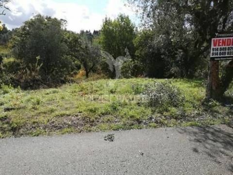 Terreno com 2110 m2 monte de bera- coimbra
