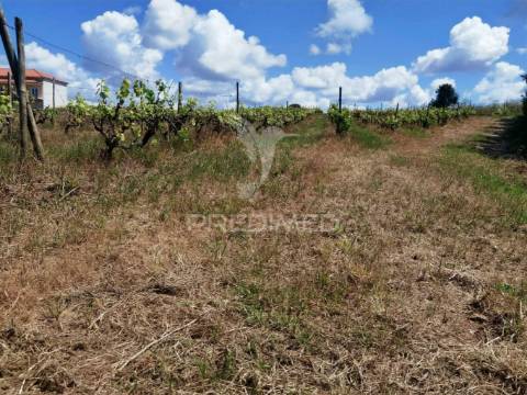Terreno urbano , localizado na moita dos ferreiros - lourinhã