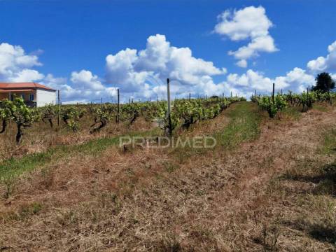 Terreno urbano , localizado na moita dos ferreiros - lourinhã