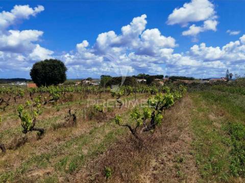 Terreno urbano , localizado na moita dos ferreiros - lourinhã