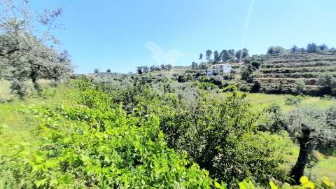 Moradia em pedra p/recuperar souto da casa