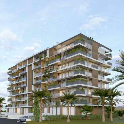 T4 novo faro
