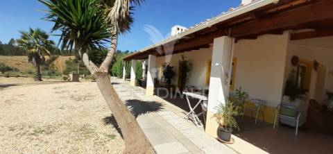 Quinta de 1,06 ha com moradia t4 em santa luzia – ourique