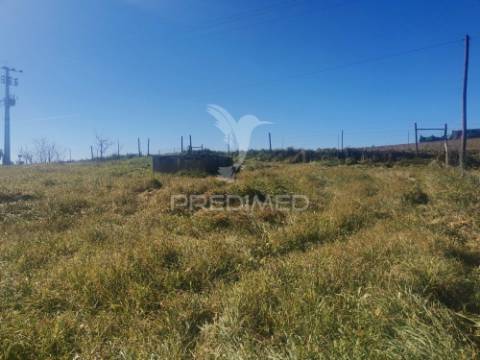 Monte com praça de touros/picadeiro