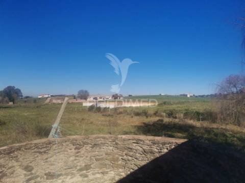 Monte com praça de touros/picadeiro