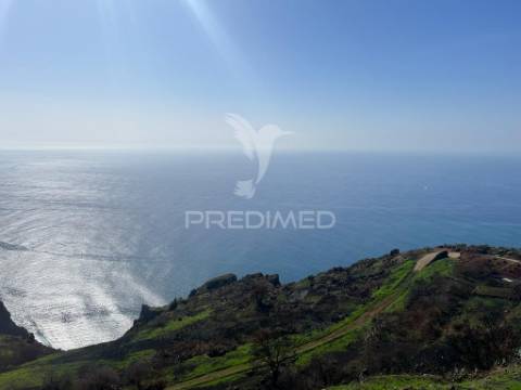 Vendo terreno na calheta- raposeira com 2.600 m2
