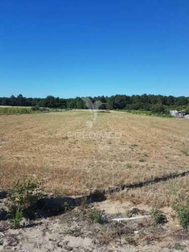 Terreno rustico e urbano  foros de salvaterra - 45.000.00 euros