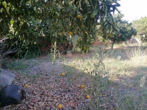 Moradia em alagoa