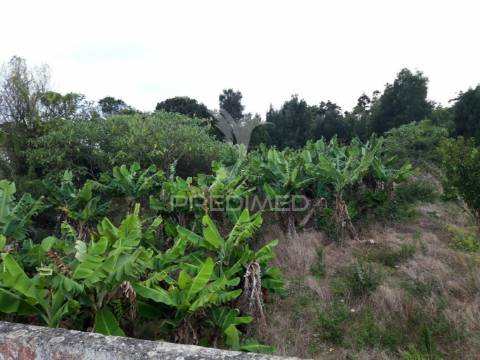 Oportunidade de investimento – são mateus da calheta, terceira (açores)