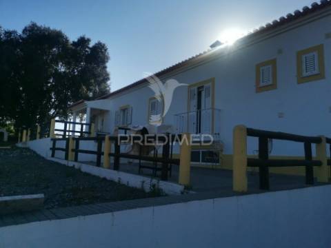 Quinta t5 com pomar em beja