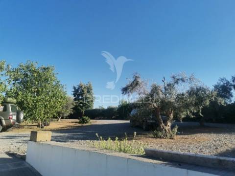 Quinta t5 com pomar em beja