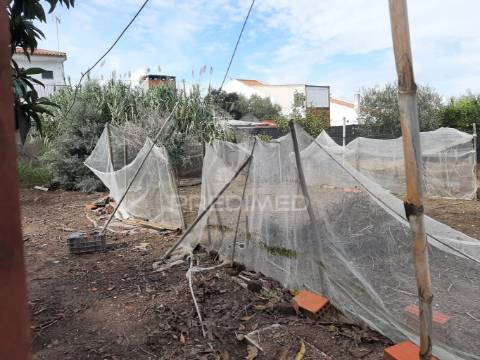 Moradia para reconstrução