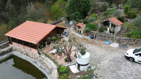 Quinta para turismo rural em fervença, celorico de basto