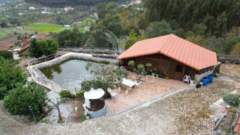Quinta para turismo rural em fervença, celorico de basto