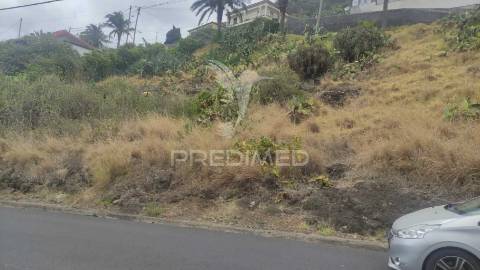 Terreno de três lotes para moradias unifamiliares, caniçal