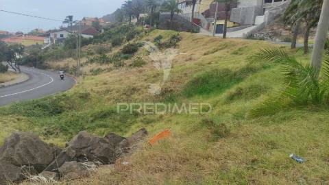 Terreno de três lotes para moradias unifamiliares, caniçal