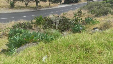 Terreno de três lotes para moradias unifamiliares, caniçal