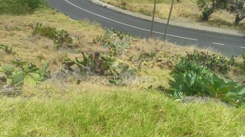 Terreno de três lotes para moradias unifamiliares, caniçal