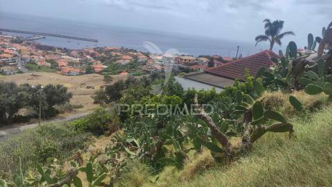 Terreno de três lotes para moradias unifamiliares, caniçal