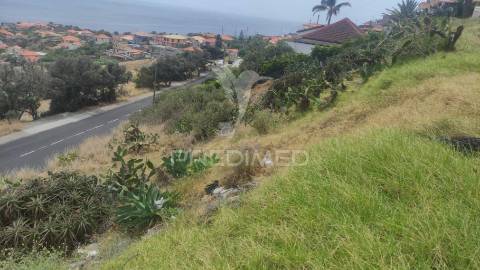 Terreno de três lotes para moradias unifamiliares, caniçal