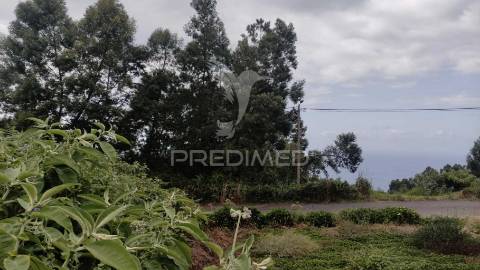 Terreno com 1080m2 situado em s.jorge,santana.
