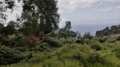 Terreno com 1080m2 situado em s.jorge,santana.