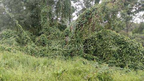 Terreno com 1080m2 situado em s.jorge,santana.
