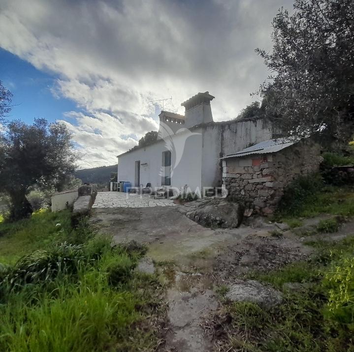Quinta