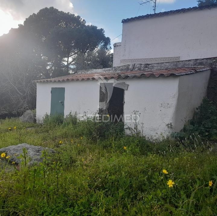 Quinta