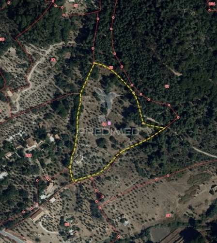 Quinta