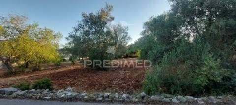 Terreno urbano com 2400m2