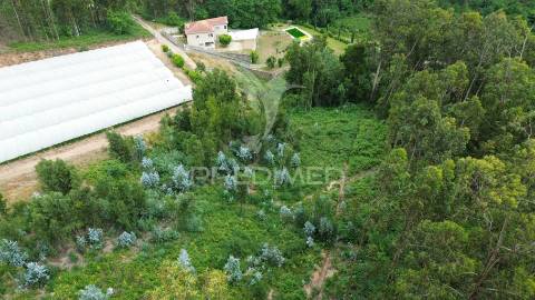 Terreno misto com 4150m2 em telões - amarante