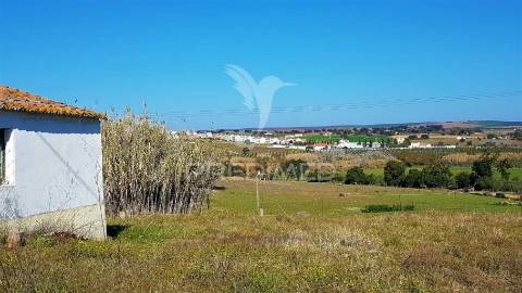 Monte para recuperar – nossa senhora das neves