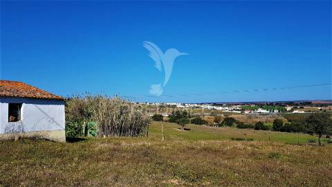 Monte para recuperar – nossa senhora das neves
