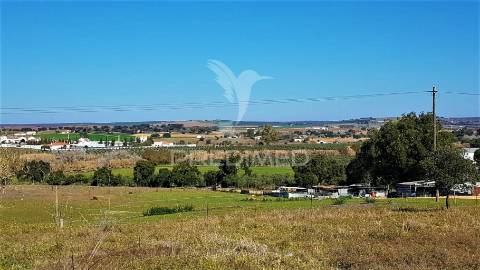 Monte para recuperar – nossa senhora das neves