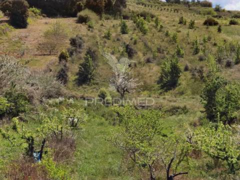 Terreno urbano, localizado na roliça - bombarral