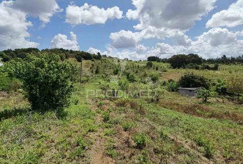 Terreno urbano, localizado na roliça - bombarral