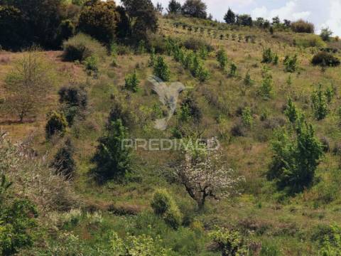 Terreno urbano, localizado na roliça - bombarral