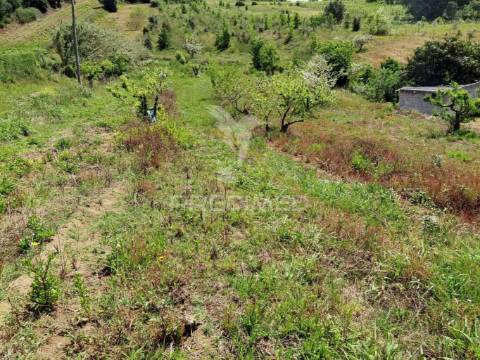 Terreno urbano, localizado na roliça - bombarral