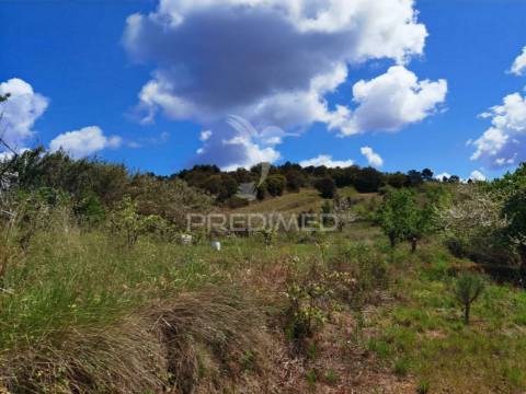 Terreno urbano, localizado na roliça - bombarral