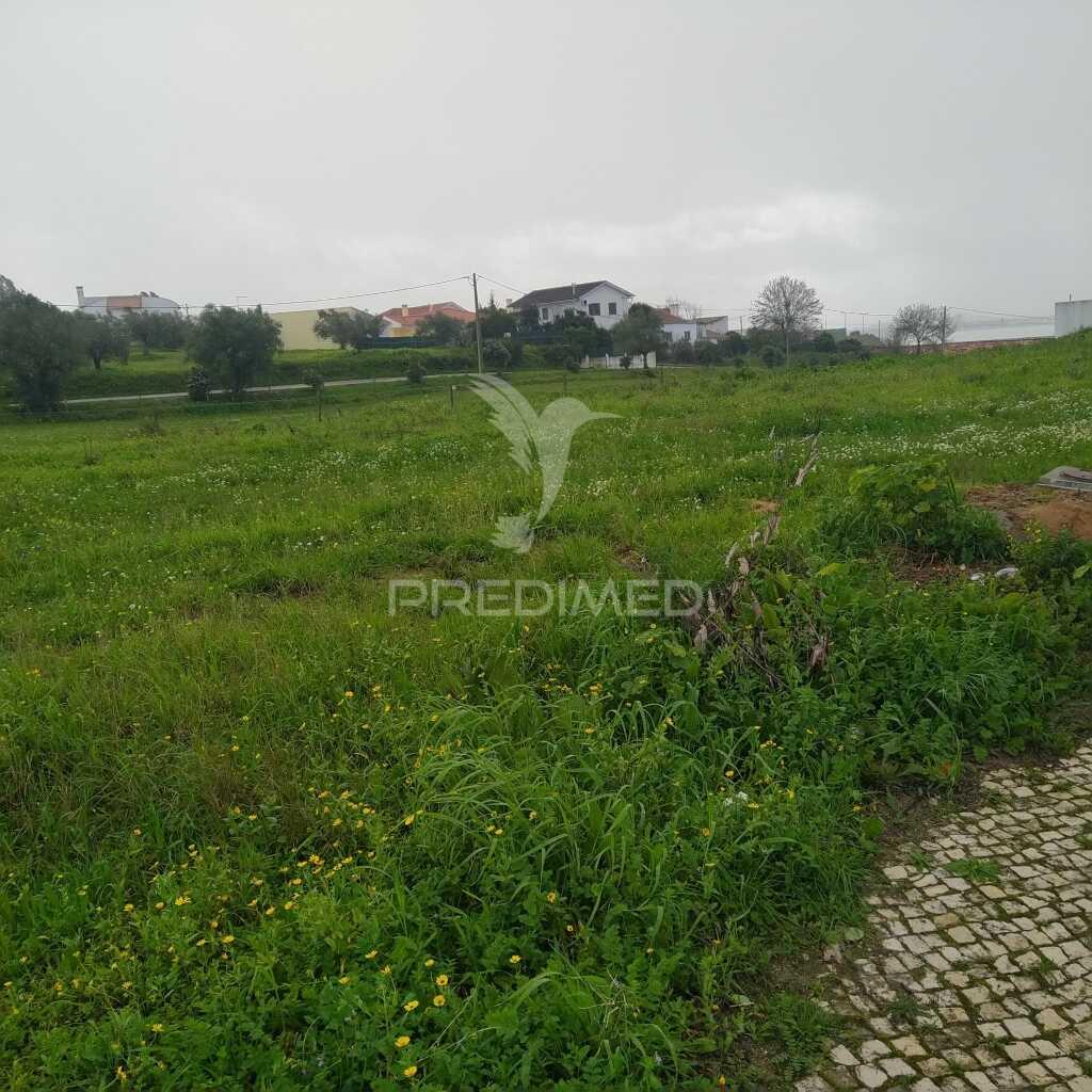 Terreno na portela das padeiras, santarém