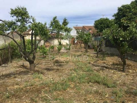 Terreno urbano