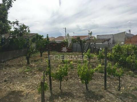 Terreno urbano
