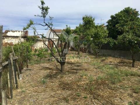 Terreno urbano