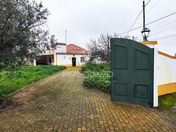 Quinta em avis